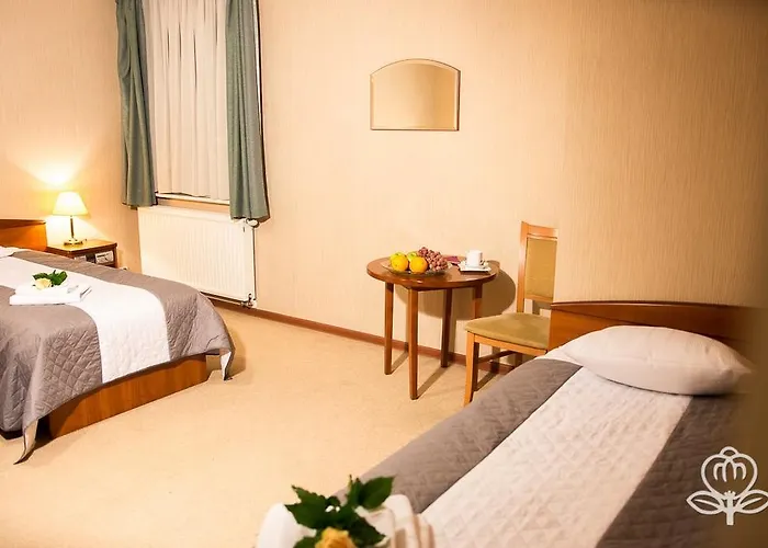 拉斯卡达酒店 Śrem